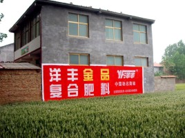 杞县如何让墙体广告展现最大化效果
